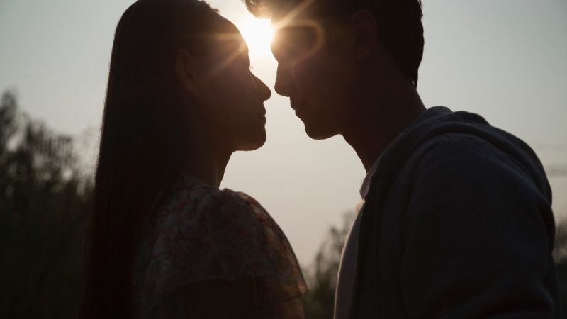  The Pinnacle of Focused Realism: Exploring the Zelex SLE Torso Series